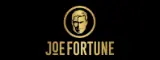 Joe Fortune